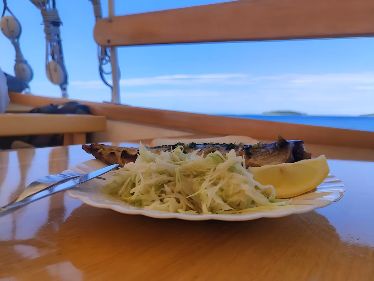 Freshly grilled fish with salad served on board with a sea view